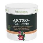 Гель Biomedicus Artro+ Gel Forte, 250 мл: ціни та характеристики