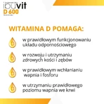 Ібувіт D 600, вітамін D для немовлят та дітей, краплі оральні, 10 мл: ціни та характеристики