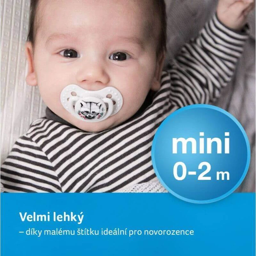 LOVI Пустышка силиконовая с мини-штампом Dynamic WILD SOUL, для мальчиков, 0-2м, 2 шт.: цены и характеристики