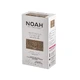 Noah