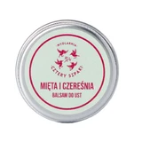 Mydlarnia Cztery Szpaki Бальзам для губ Мита и Вишня, 15 мл