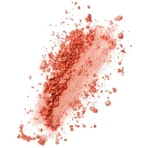 L'Oréal Paris True Match Le Blush Рум'яна 160 Персикові 5 г: ціни та характеристики