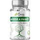 Revix Brain 90 капсул