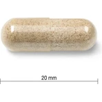 JAMIESON RELAX AND SLEEP 1×60 cps, пищевая добавка: цены и характеристики