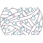 BIOFINITY® Контактные линзы 1×3 шт, сетчатые линзы: цены и характеристики