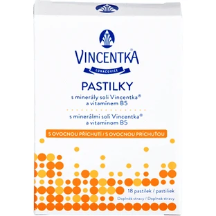 Vincentka Фруктовые пастилки 18 шт