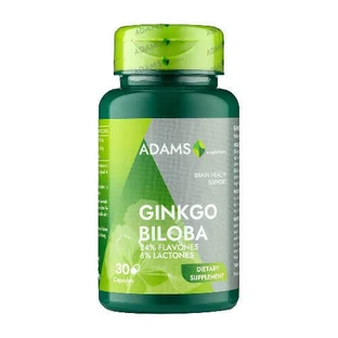 Гинкго билоба, 30 капсул, Adams Supplements