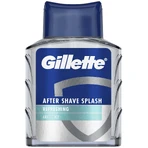 Gillette Series Арктический лед после бритья 100 мл: цены и характеристики