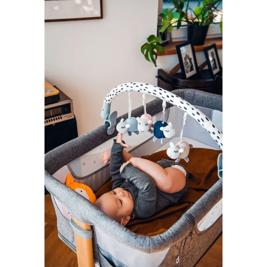MoMi Trapeze JOY: ціни та характеристики