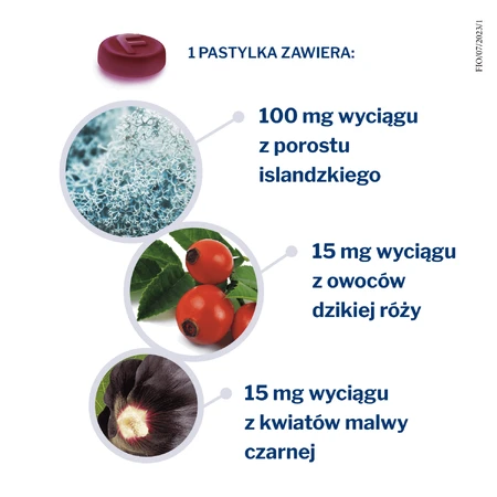 Фіорда, зі смаком чорної смородини, 30 пастилок: ціни та характеристики
