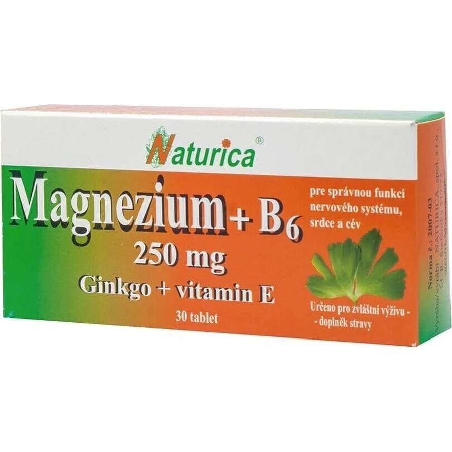 Naturica МАГНІЙ 250 мг+В6+Гінкго+вітамін Е 1×30 таблеток, дієтична добавка: ціни та характеристики