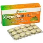 Naturica МАГНІЙ 250 мг+В6+Гінкго+вітамін Е 1×30 таблеток, дієтична добавка: ціни та характеристики