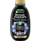 Ампон Garnier Botanic Therapy Магнітне вугілля та олія чорного насіння, 250 мл