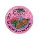 Ceta Sibiu