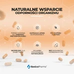 Менахінокс К2+Д3 2000, 60 мікрокапсул: ціни та характеристики