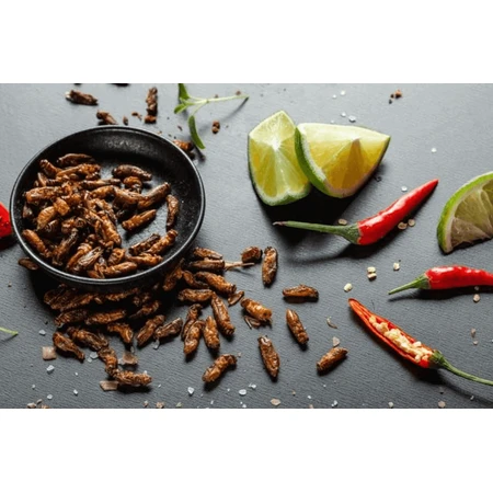 Sens Crunchy & Laundry Crickets - Chilli & Lime 16 г: цены и характеристики