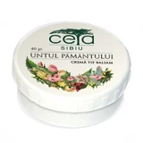 Мазь земляна масляна, 40 г, Ceta Sibiu, Ceta Sibiu
