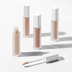 Paese My Skin Icon, коректор, 01 Porcelain Beige, 6,5 мл: ціни та характеристики