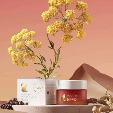 Yope Moon Spa, крем для лица, ночной крем, активные липиды + бакухиол 1%, 50 мл: цены и характеристики