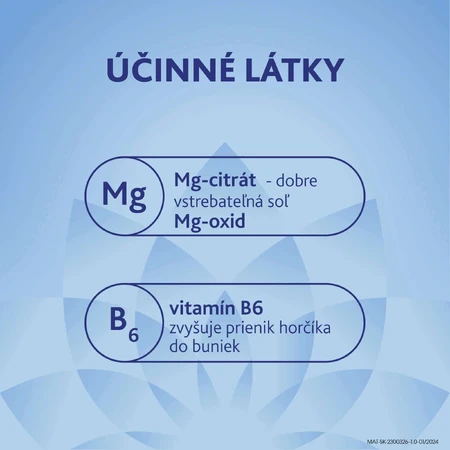 Магне В6 Форте Актив 20 пакетиків: ціни та характеристики