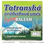 FYTO Татра Бронхіальна суміш Трав'яний бальзам 1×40 г, від застуди: ціни та характеристики