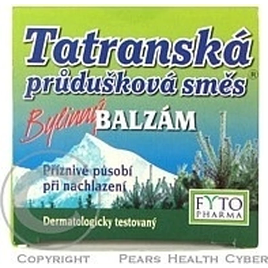 FYTO Татра Бронхіальна суміш Трав'яний бальзам 1×40 г, від застуди: ціни та характеристики