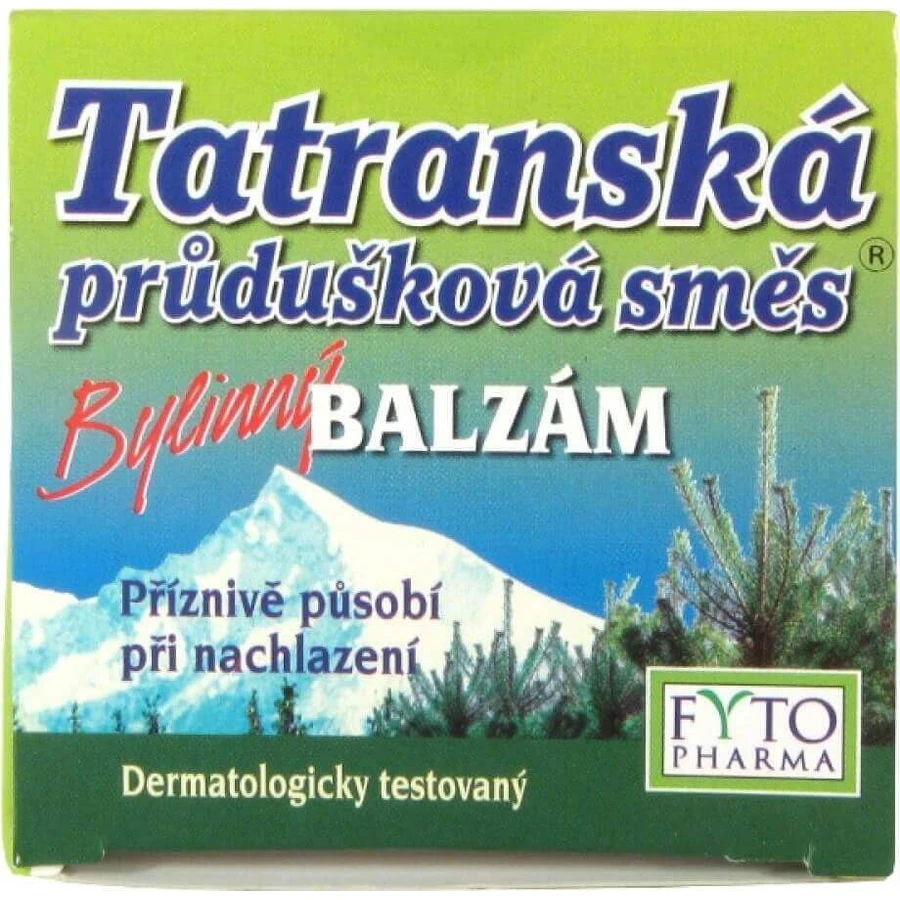 FYTO Татра Бронхіальна суміш Трав'яний бальзам 1×40 г, від застуди: ціни та характеристики