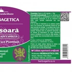 Herbage Herbage Lady's Mantle Lady's Mantle x 60cps: ціни та характеристики
