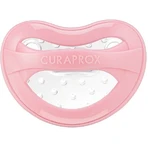 Пустышка Curaprox Baby 1 - 2,5 года, возраст 1 год, ручная: цены и характеристики
