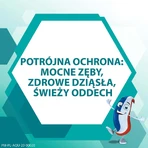 Зубная паста Aquafresh Big Teeth 6-8 лет Psi Patrol, 50 мл: цены и характеристики
