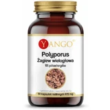 Polyporus multiflora agave 90 капсул Yango