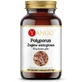 Polyporus multiflora agave 90 капсул Yango
