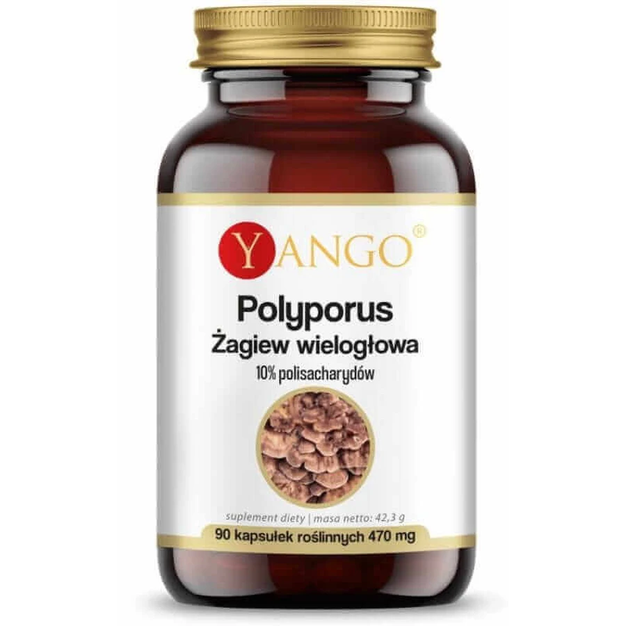 Polyporus multiflora agave 90 капсул Yango: цены и характеристики