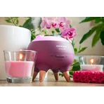 Concept Аромадиффузор Perfect air berry: цены и характеристики