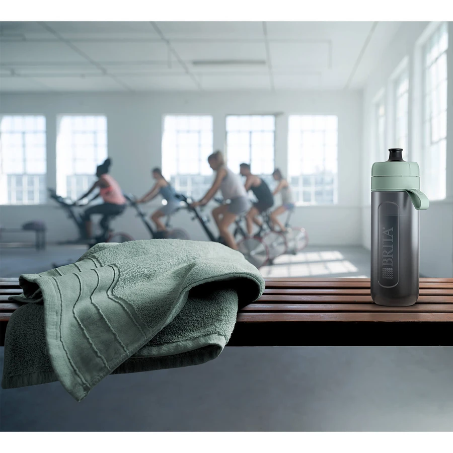 Brita Active, бутылка с фильтром 0,6 л, зеленая + фильтр MicroDisc, 2 шт.: цены и характеристики