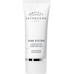 Institut Esthederm Pore Refiner Concentrate 50 ml 1×50 ml, концентрат для кожи: цены и характеристики