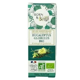 Ефірна олія евкаліпта Globus Organic, 10 мл, Born to Bio