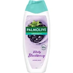 Palmolive Smoothies Гель для душа Черника 500 мл: цены и характеристики