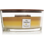 Ароматична свічка WoodWick Boat свічка Evergreen Cashmere 1×453,6 г: ціни та характеристики