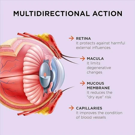 ZeaForce Vitaslim, 30 капсул: ціни та характеристики
