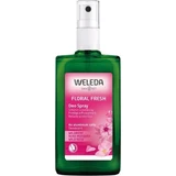 Weleda Дезодорант для рук 100 мл