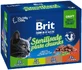 Brit Premium пакетик для котів Sterilised Plate 12 x 100 г