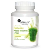 Aliness Natural Modes Iczmie 1800, 120 таблеток