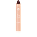 Yves Rocher Le Brillant, Зволожена помада в олівці, 10 Prune Tendre 2.2 г: ціни та характеристики