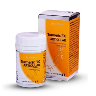 Турмерик 3X суставчатый, 120 капсул, DVR Pharm