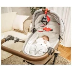 Canpol babies Контрастная подвесная игрушка с сенсорным зажимом: цены и характеристики