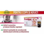 Фрутдеп Імуно, розчин для перорального застосування, 10 флаконів, Dr. Phyto: ціни та характеристики