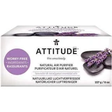 Очиститель воздуха с эфирными маслами лаванды и эвкалипта, 227 г, Attitude