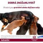 Advantix Спот-он для собак вагою від 4 до 10 кг 1 шт: ціни та характеристики