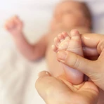 Крем для сосков Lanolin HPA, 10 мл: цены и характеристики